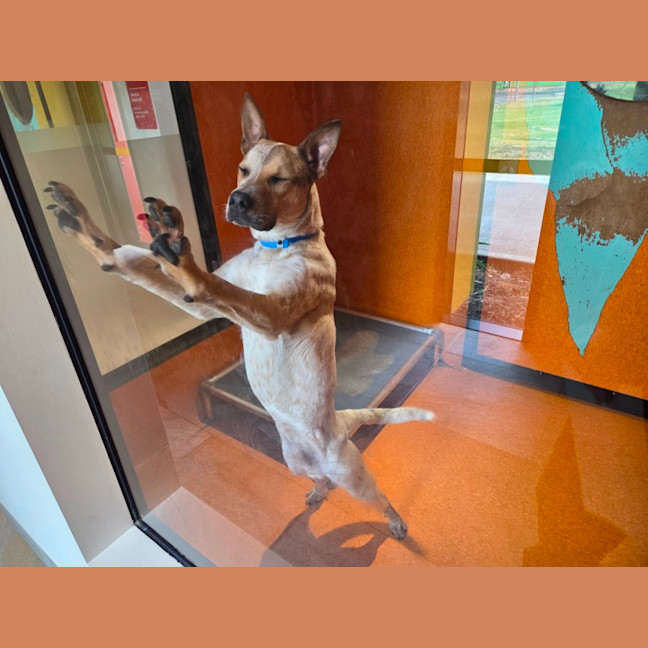 Photo of Caleb Imp 1865