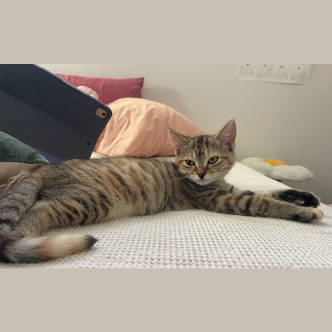 Photo of Big Sister