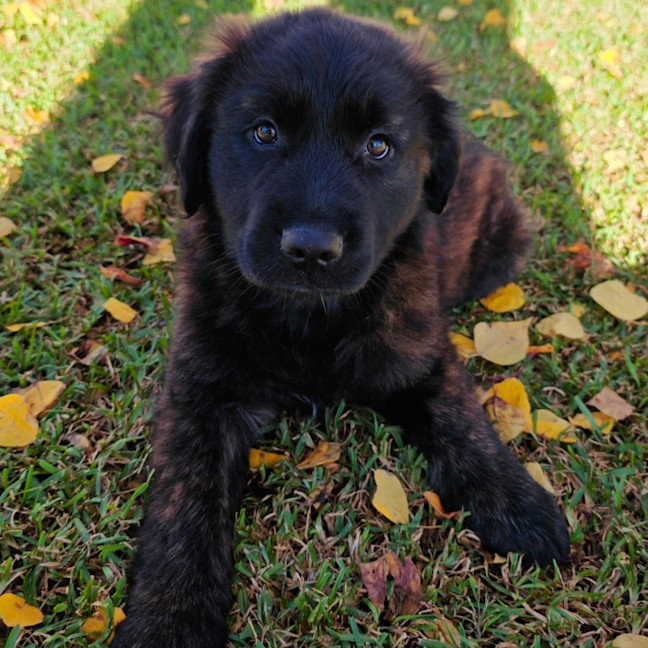 Photo of Mercy