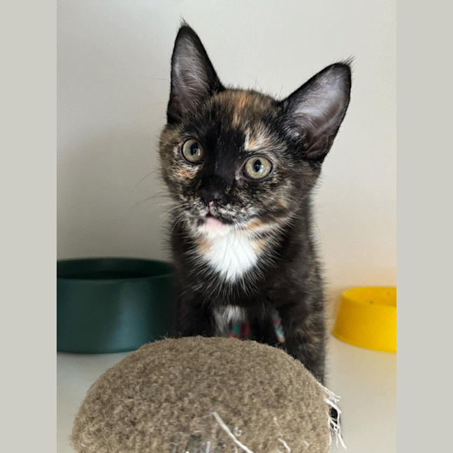 Photo of Keira