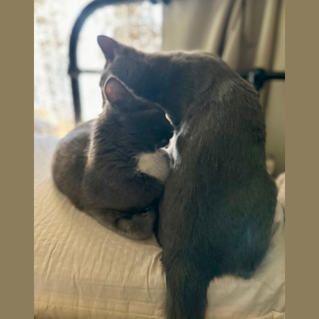 Photo of Hazel And Violet 