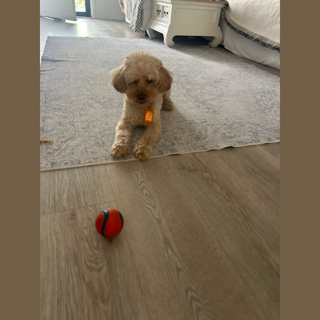 Photo of Simon 