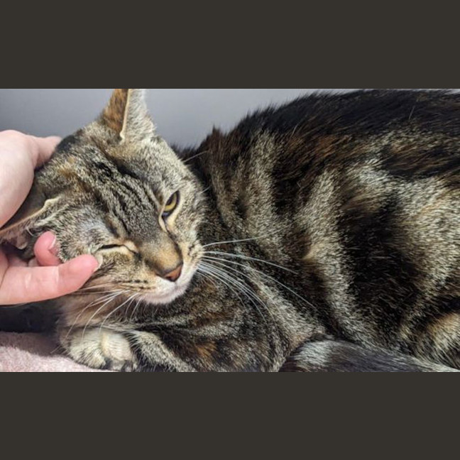 Photo of Meredith