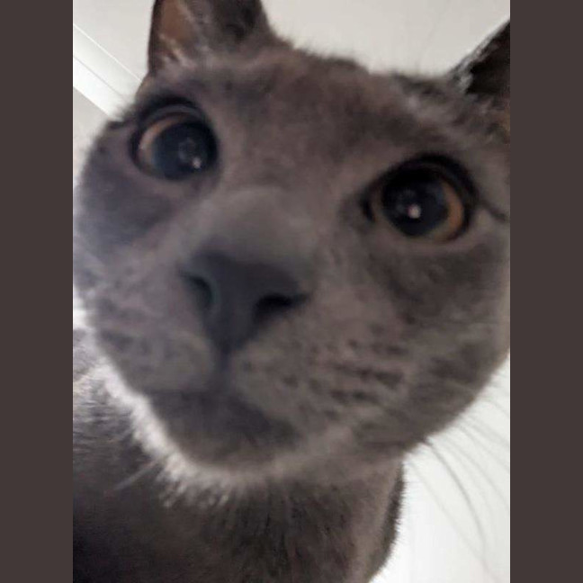 Photo of Smokey