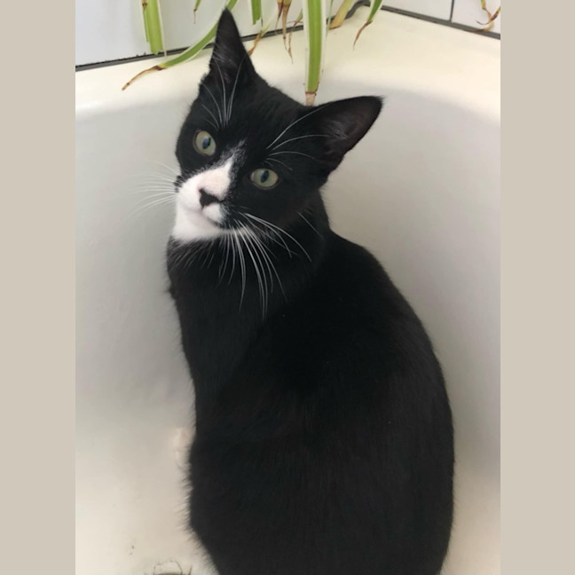 Photo of Stanley & Rosie