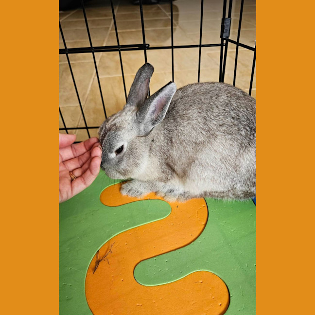 Photo of Jon Snow Jr And Robb Stark