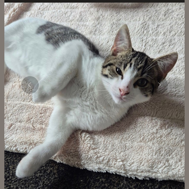 Photo of River Meet Me@Petstock Carrum Downs 