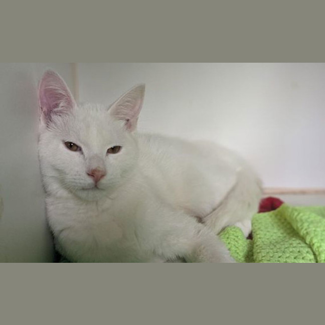 Photo of Charlie