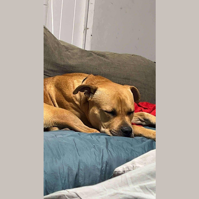 Photo of Bud
