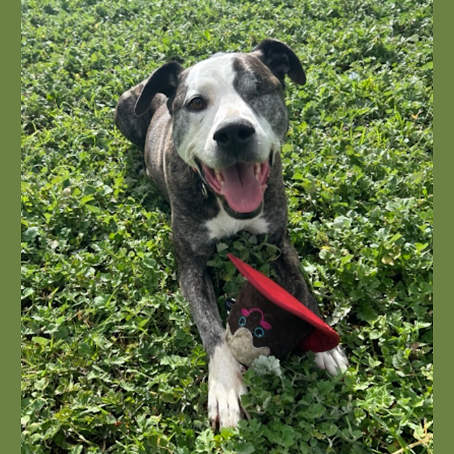 Photo of Oliver