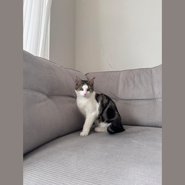 Photo of Mimi & Momo