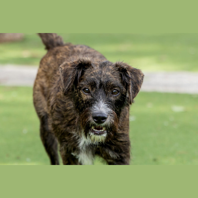 Photo of Ramto