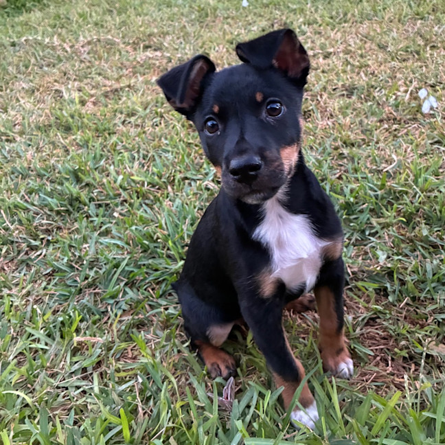 Photo of Parker
