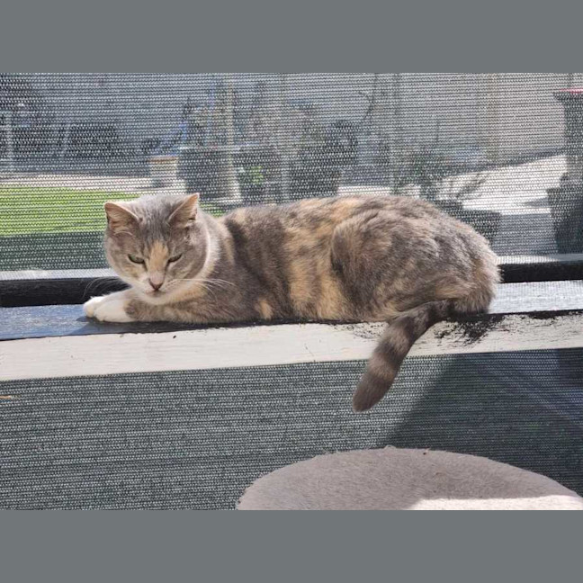 Photo of Zoe