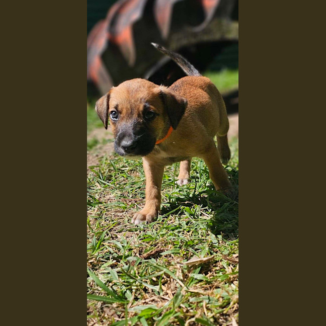 Photo of Uno