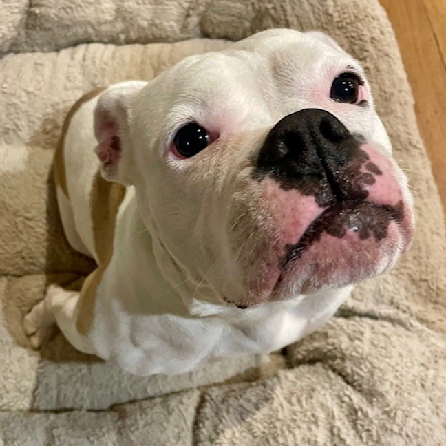 Photo of Sophie