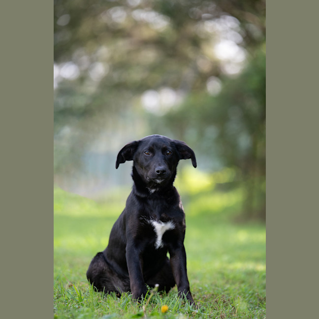 Photo of Milly