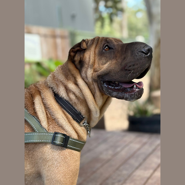 Photo of Biggie