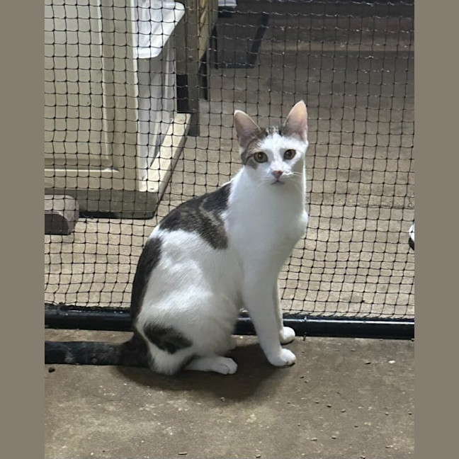 Photo of Nudge