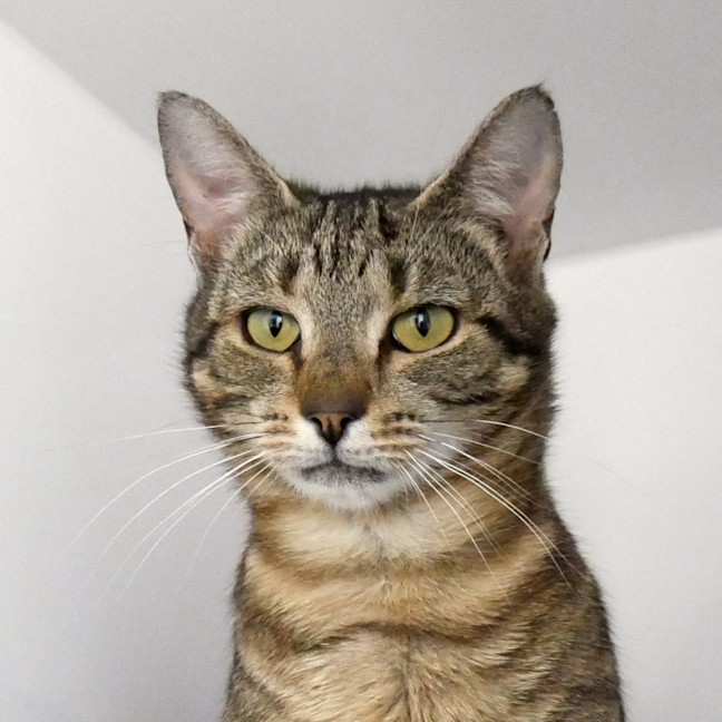 Photo of Margaret Sua014376