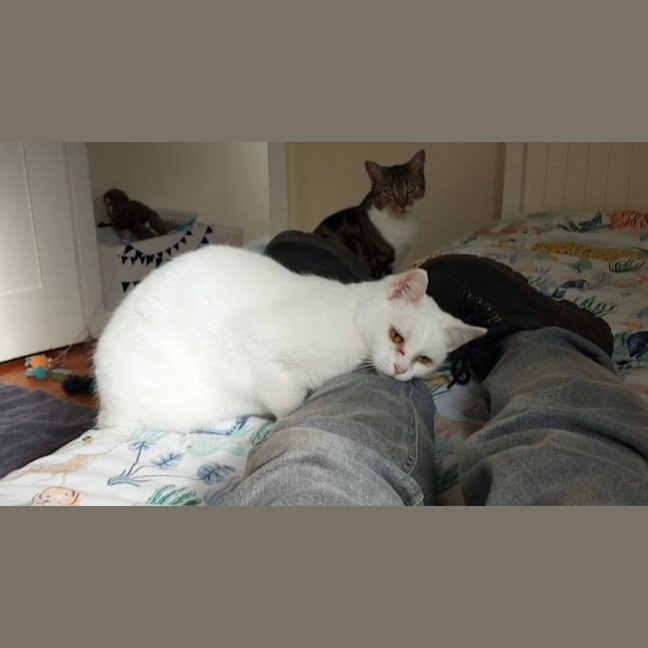 Photo of Rachel & Iggy