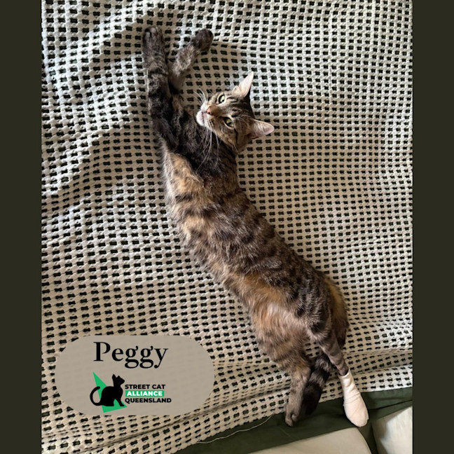 Photo of Peggy