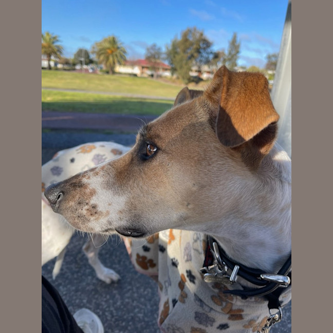 Photo of Jeena (Precious)