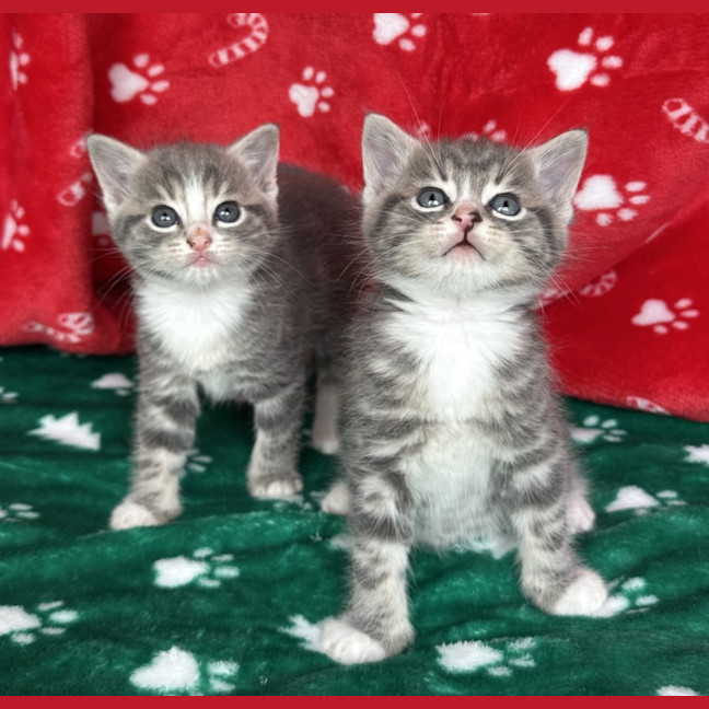 Photo of Wanaka 🌷🌷🌷