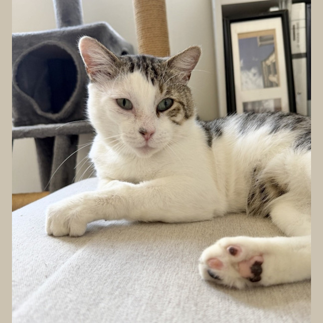 Photo of Harley