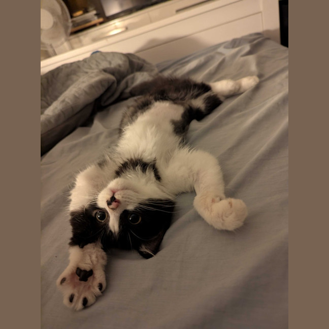 Photo of Nini 