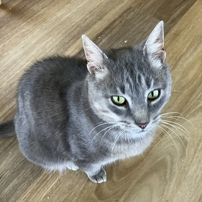 Photo of Blue