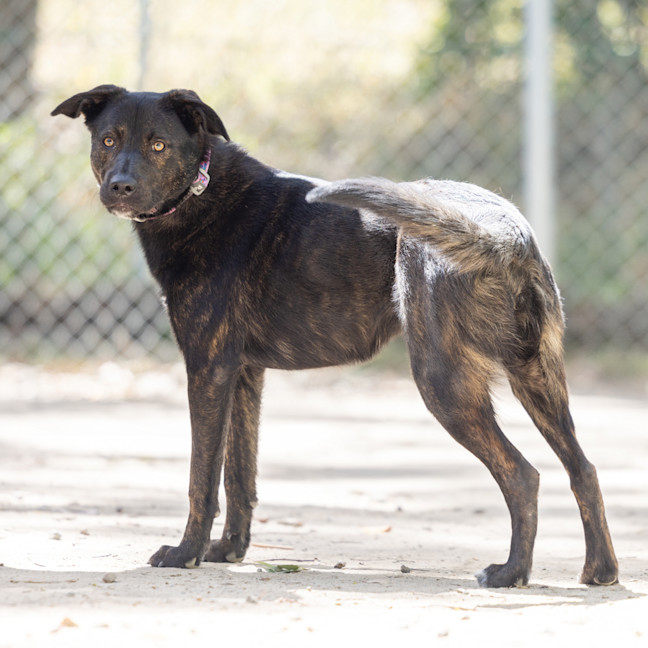 Photo of Truffle