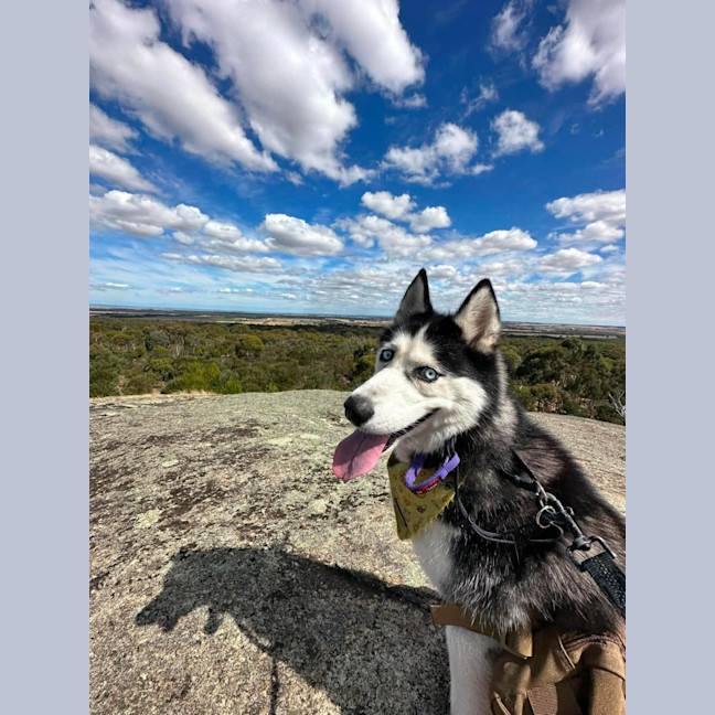 Photo of Athena