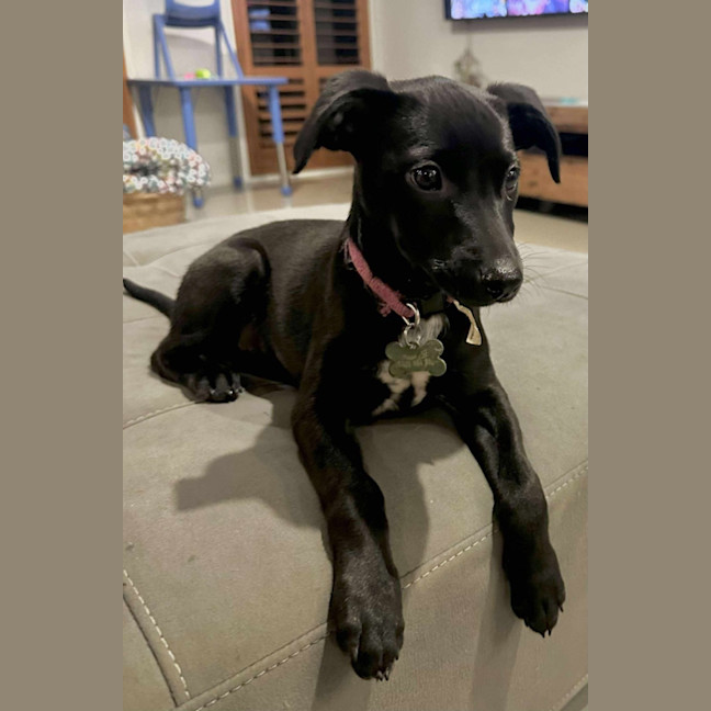 Photo of Vera