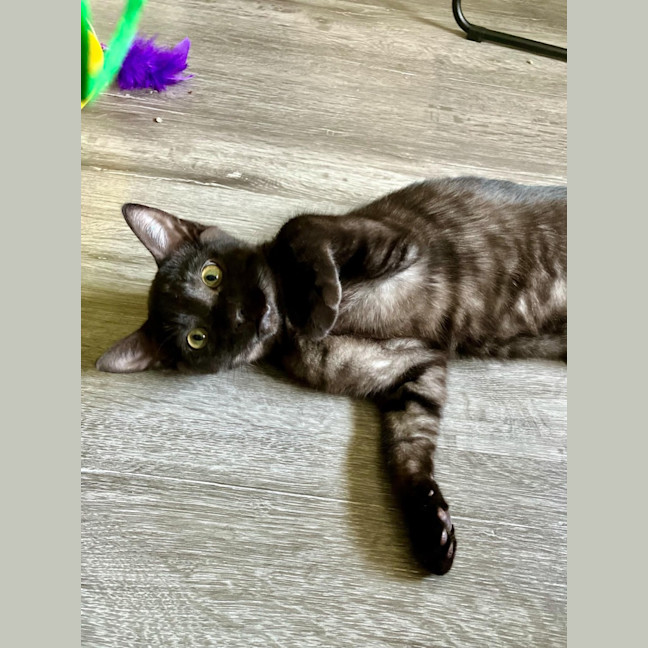 Photo of Monte ❤️