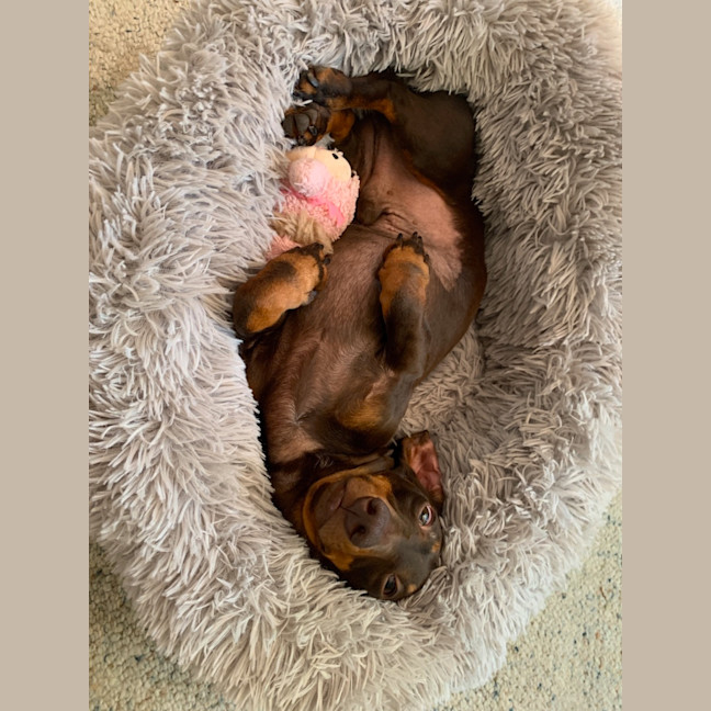 Photo of Norman And Nessa 