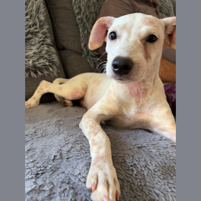 Photo of Lily