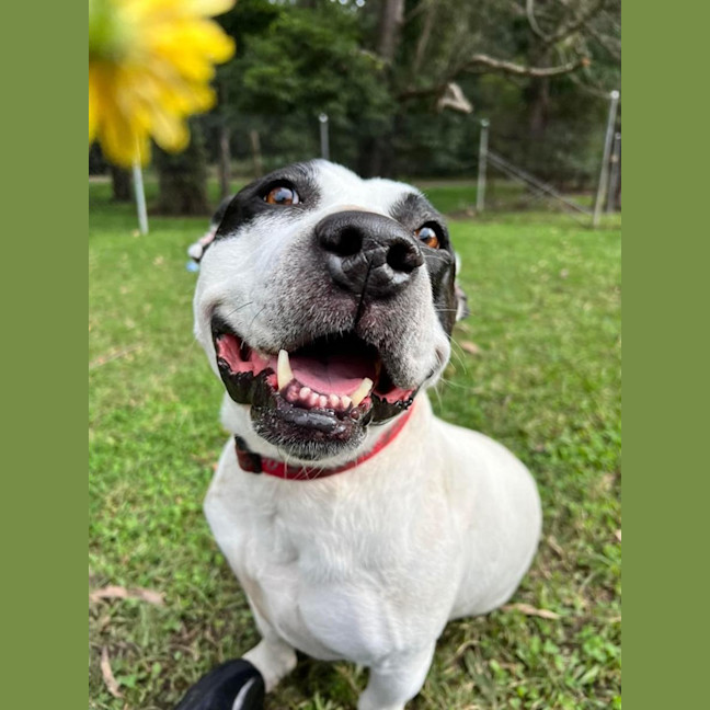 Photo of Biggie Smallz