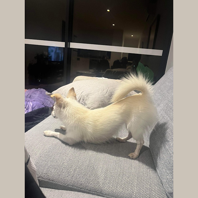 Photo of Maggie