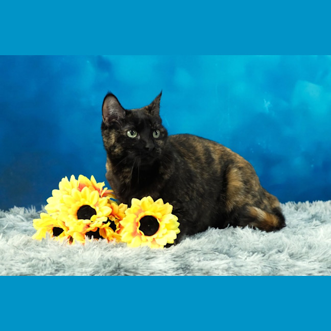 Photo of Elodie