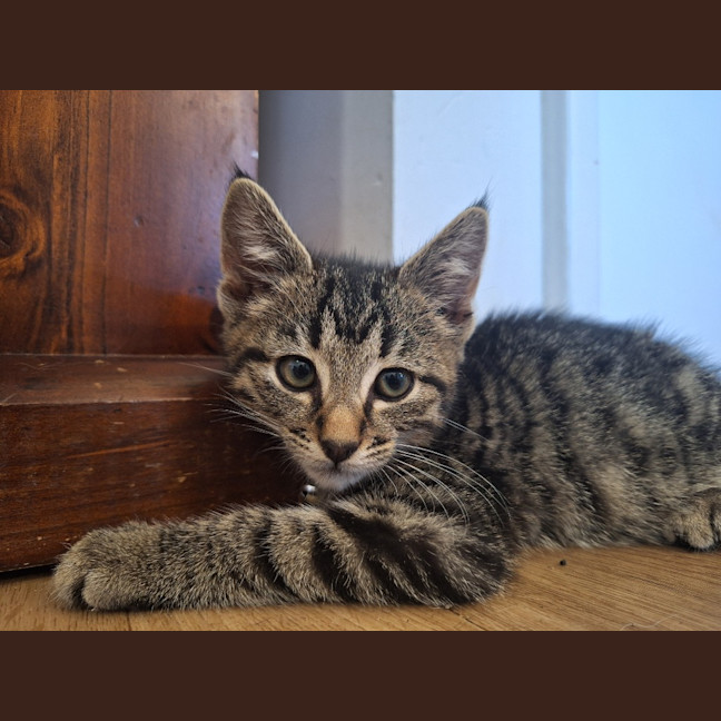 Photo of Hudson
