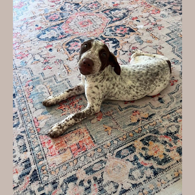 Photo of Dakota