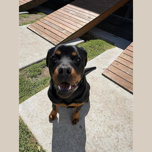 Photo of Susie 