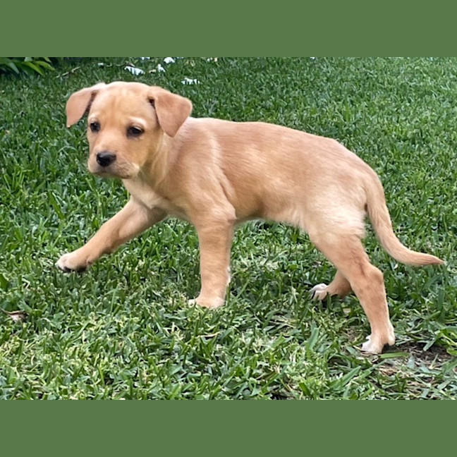 Photo of Milly