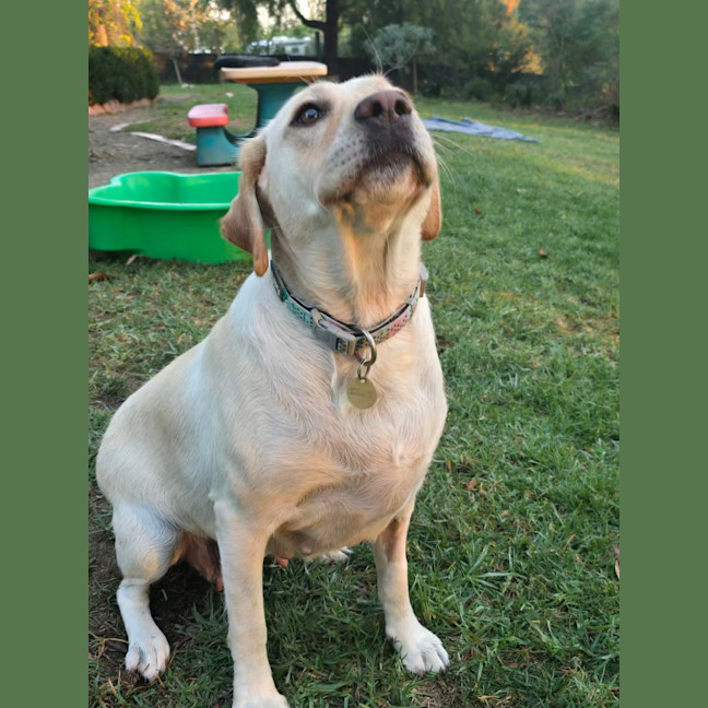 Photo of Hayleywaley