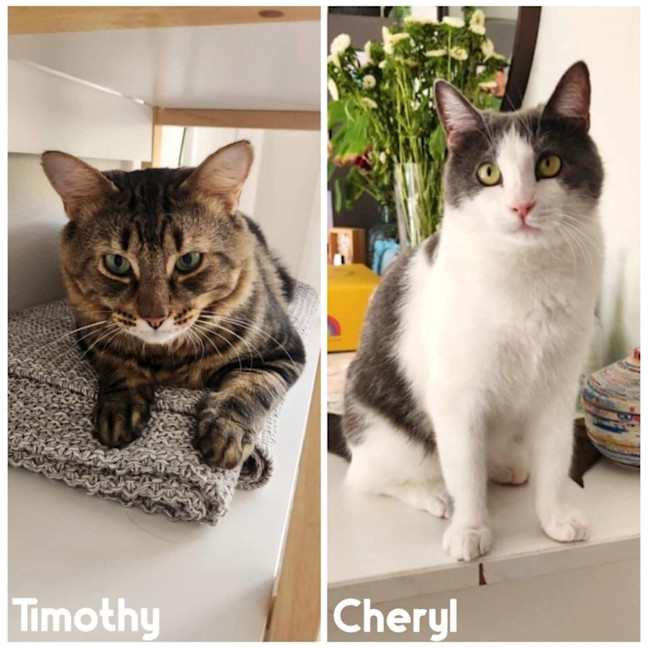 Photo of 11102/3   Cheryl & Timothy