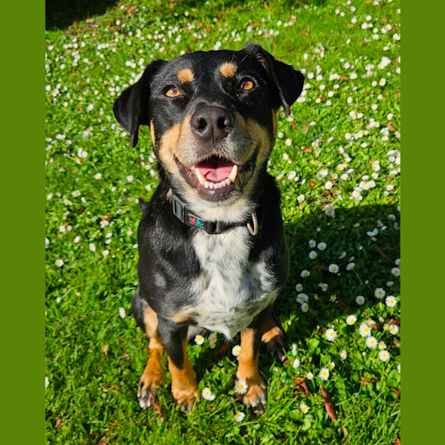 Photo of Kenai