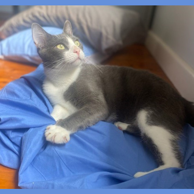 Photo of Storm (9173)