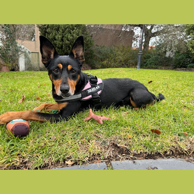 Photo of Sookie