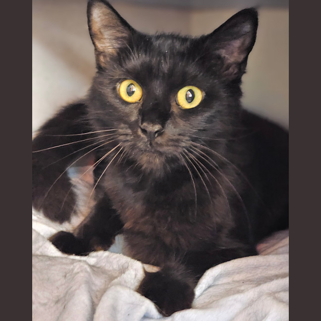 Photo of Precious